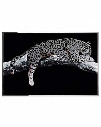 Панно, картина LEOPARDO
