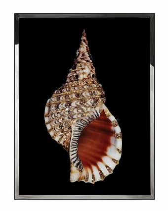 Панно, картина TRITONIS