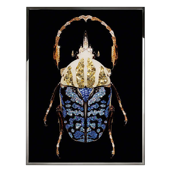 Панно, картина VISIONNAIRE (IPE CAVALLI) COLEOTTERO Salone del Mobile Milano