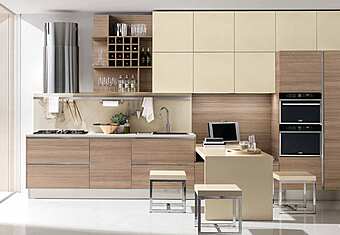 Кухня RECORD CUCINE AKIRA  comp.2