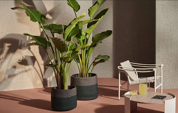 Низкий горшок для растений из полипропилена CASSINA Podor фабрика CASSINA из Италии. Фото №6