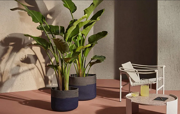 Низкий горшок для растений из полипропилена CASSINA Podor фабрика CASSINA из Италии. Фото №7