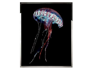 Панно, картина VISIONNAIRE (IPE CAVALLI) MEDUSA Панно, картина VISIONNAIRE (IPE CAVALLI) MEDUSA фабрика VISIONNAIRE (IPE CAVALLI) из Италии