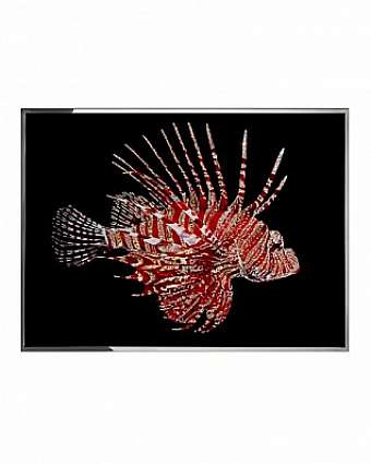 Панно, картина PESCE SCORPIONE