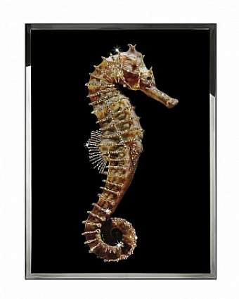 Панно, картина HIPPOCAMPUS
