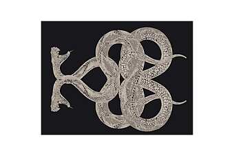 Ковер Roberto Cavalli SNAKE Ковер Roberto Cavalli SNAKE фабрика ROBERTO CAVALLI из Италии
