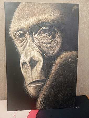 Горилла фабрика Vinoti из Италии