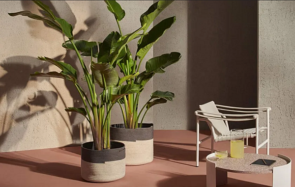 Низкий горшок для растений из полипропилена CASSINA Podor фабрика CASSINA из Италии. Фото №2